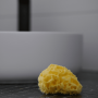 Eponge de mer Honeycomb